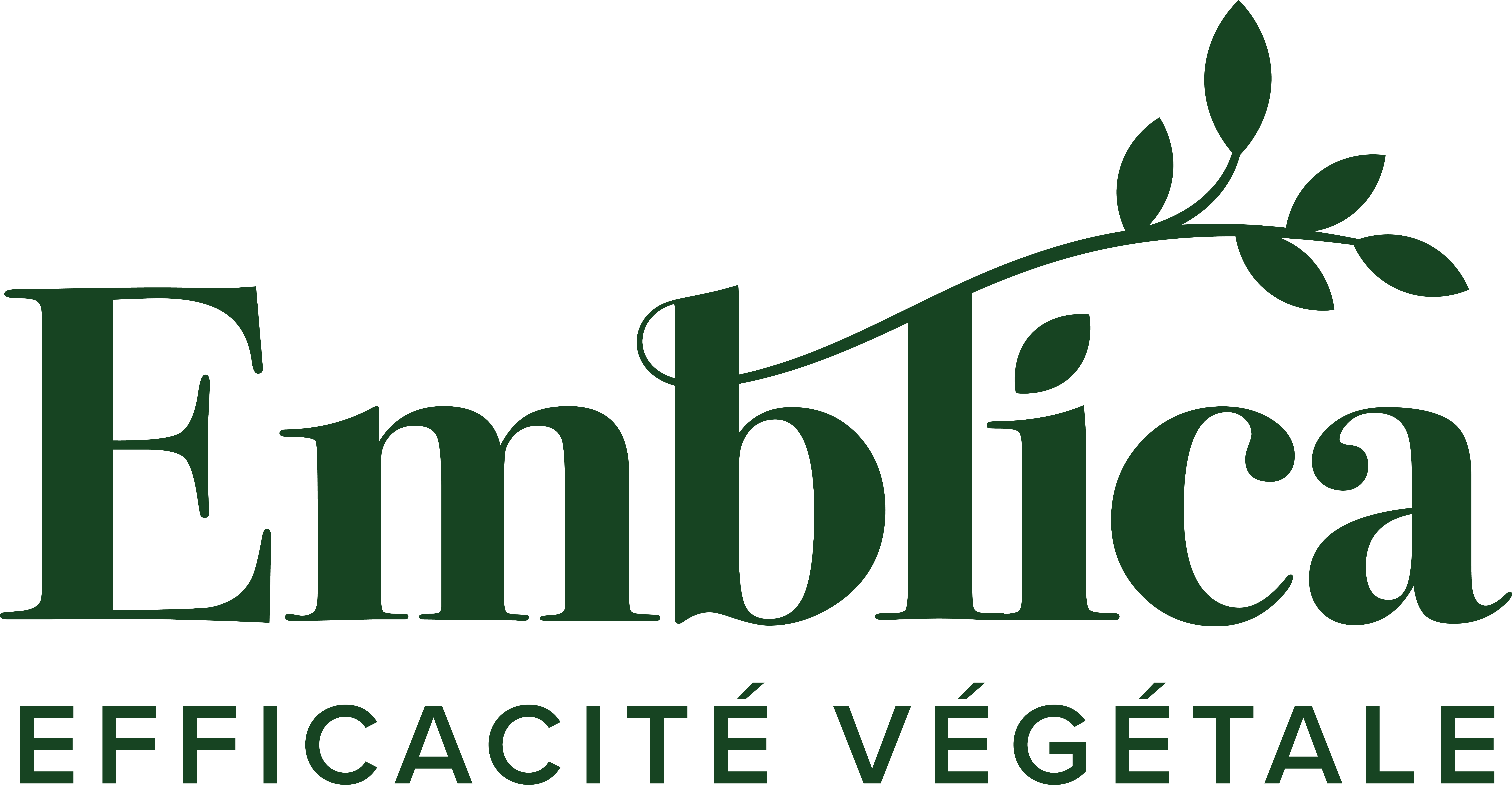 EMBLICA - Vos Colorations Végétales Aux plantes Ayurvédiques