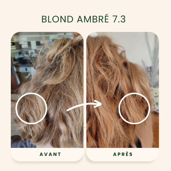 /assets/images/produits/av_ap-_-blond-ambre-1.png
