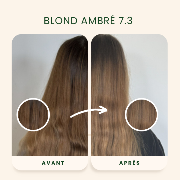 /assets/images/produits/av_ap-_-blond-ambre-2.png