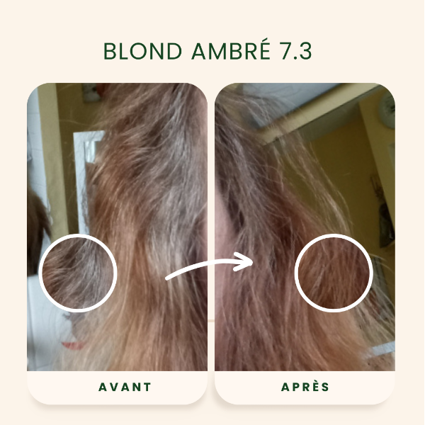 /assets/images/produits/av_ap-_-blond-ambre-3.png