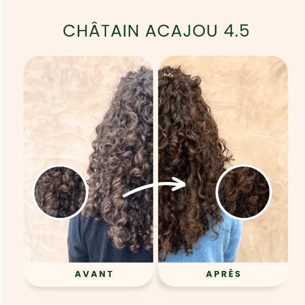 /assets/images/produits/av_ap-_-chatain-acajou-1.png