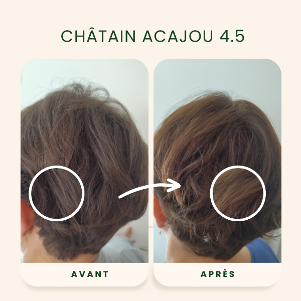 /assets/images/produits/av_ap-_-chatain-acajou-2.png