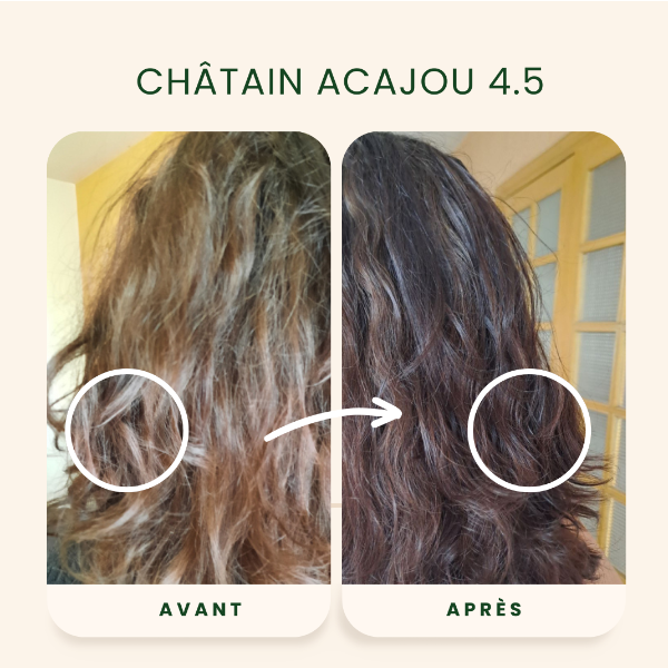 /assets/images/produits/av_ap-_-chatain-acajou-4.png