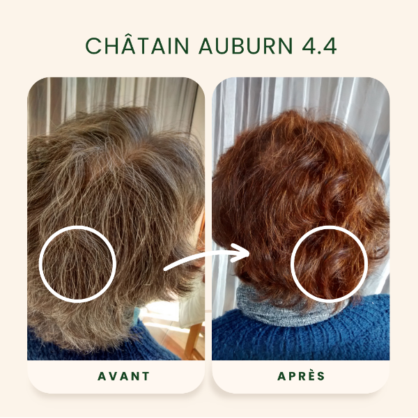 /assets/images/produits/av_ap-_-chatain-auburn-1.png