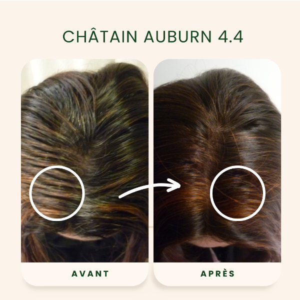 /assets/images/produits/av_ap-_-chatain-auburn-2.png