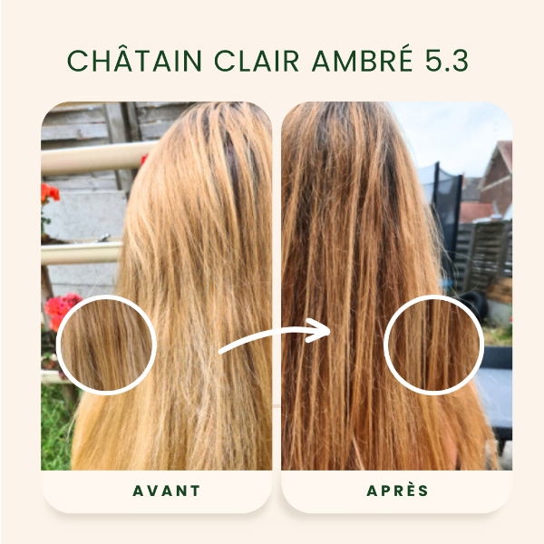 /assets/images/produits/av_ap-_-chatain-clair-ambre.png