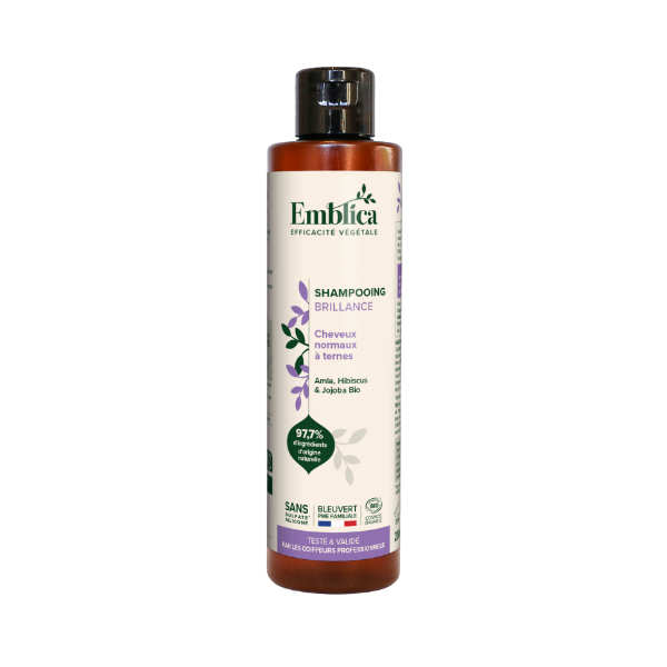 /assets/images/produits/emblica---shampooing-brillance.png