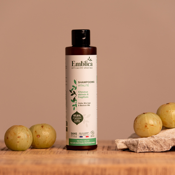 /assets/images/produits/emblica---shampooing-vitalite-(3).png